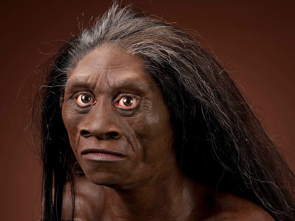 rekonstrukcija glave Homo floresiensis